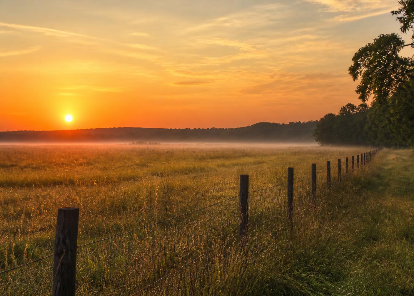 Fence line across misty pasture at sunrise